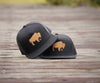 Bison — Black Out