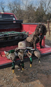 Boykin - 7 Panel Duck Camo