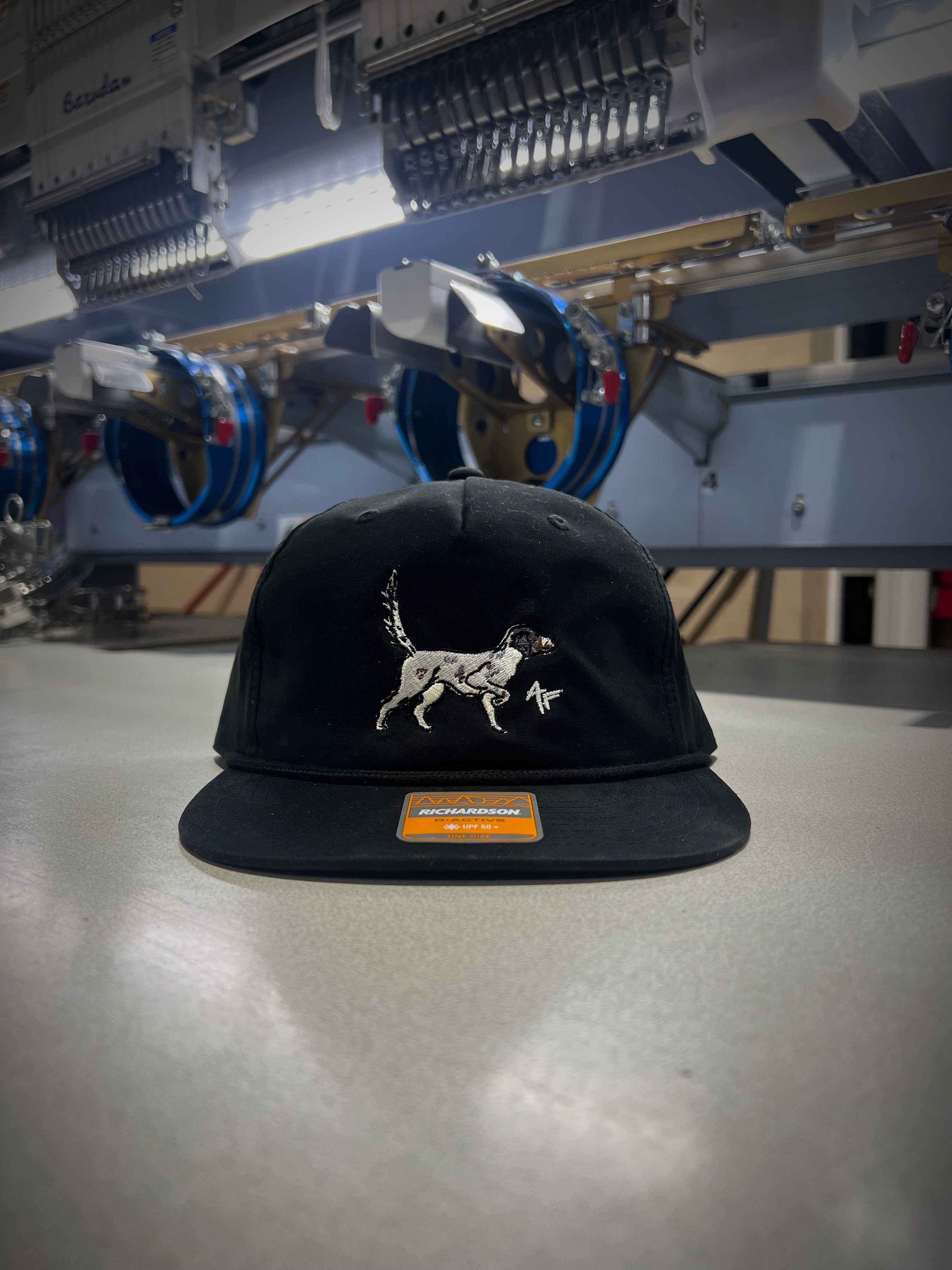 English Setter - All Black Rope