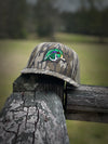 Wood Duck Head - Bottomland